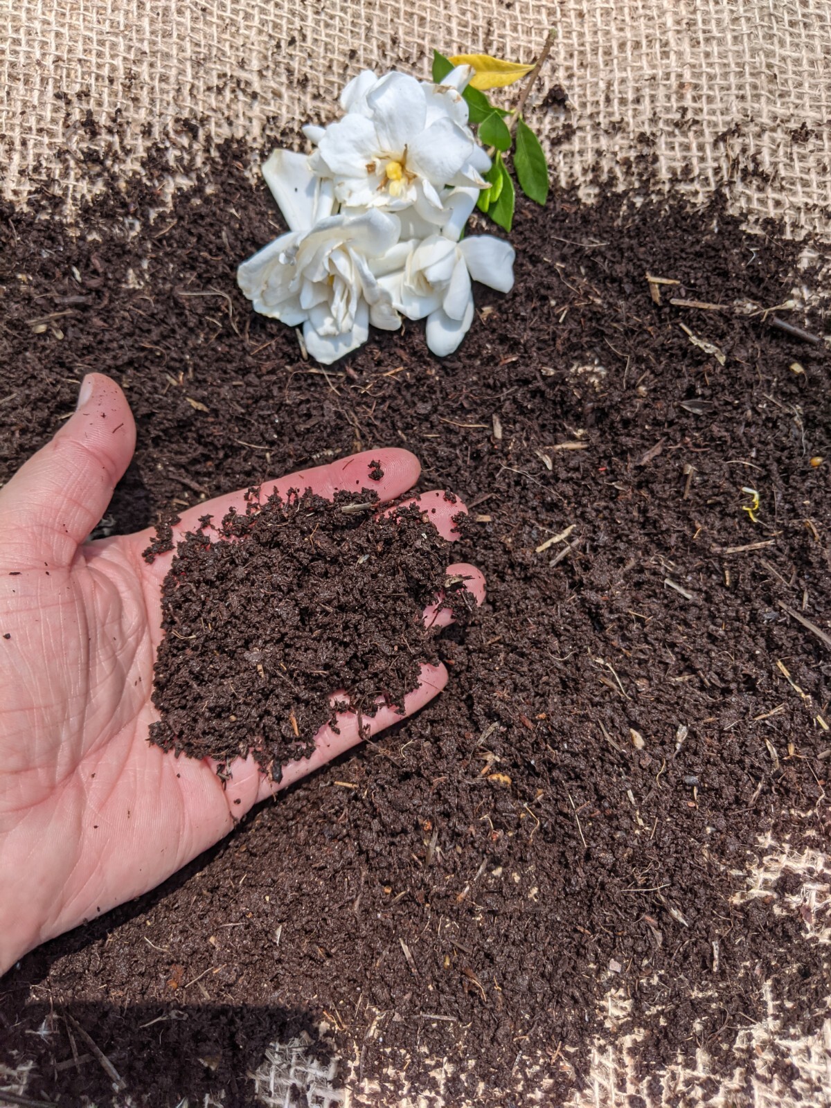 1 Ib Worm Castings-FREE Shipping, Organic Soil Fertilizer