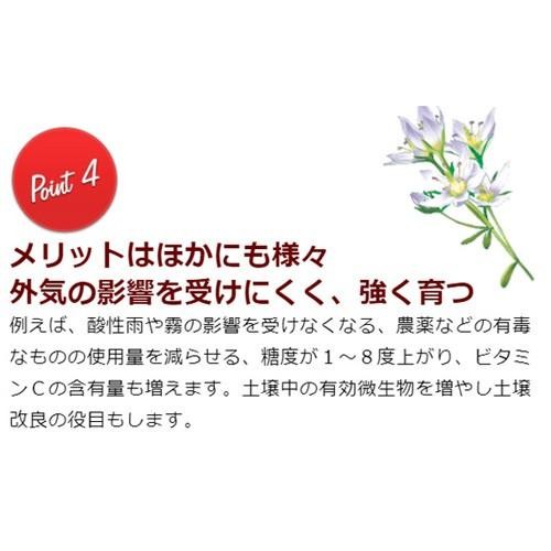 FLORA HB-101 All Purpose Natural Plant Vitalizer Granule 1kg/35.27oz Japan New