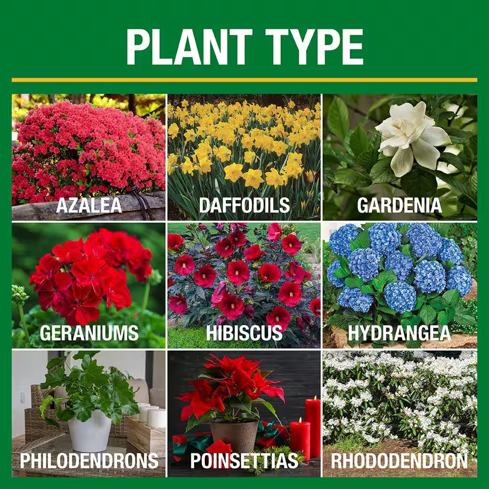 3.5 Lb. All Season Bold Blooms Flowering Plant Food (15-30-15)