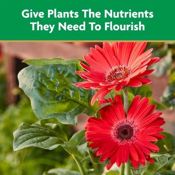 Miracle-Gro Liquid All Purpose Plant Food, Concentrate, For All Plant Types, 32