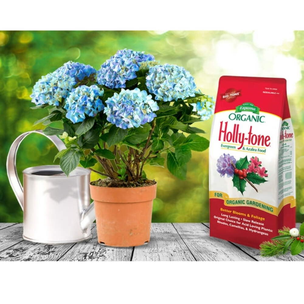 Espoma Holly-Tone (8 Lb)