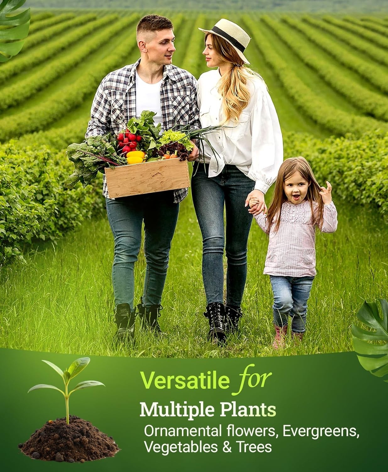 Organic Plant Nutrition – Liquid Microbial Inoculant