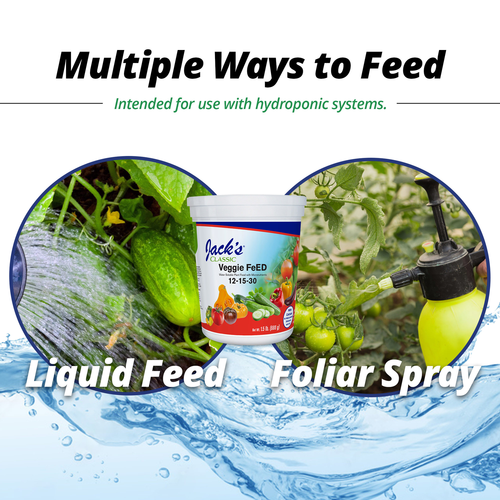 Jack’s Classic 12-15-30 Tomato FeED Water-Soluble Fertilizer, 1.5lbs, 2 Pack