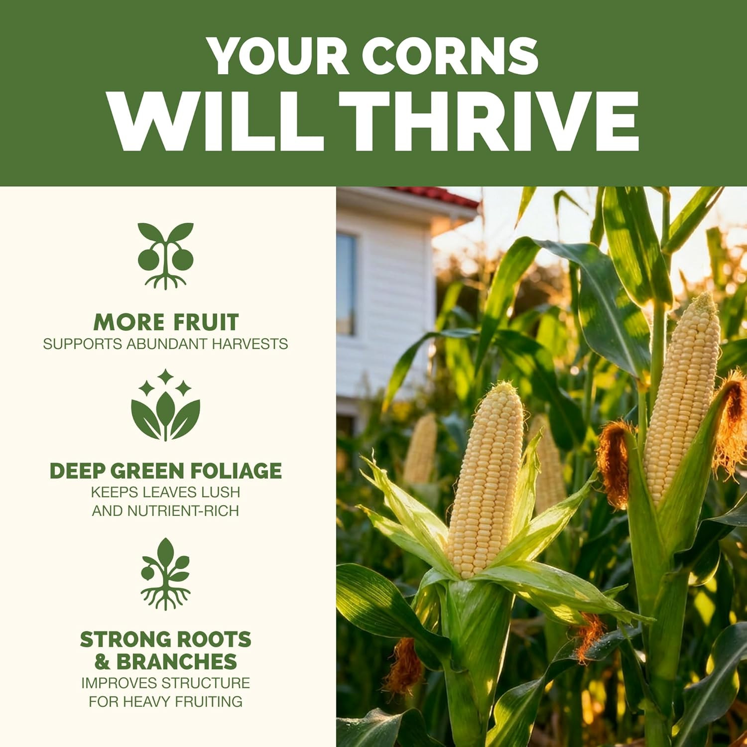 High Nitrogen Fertilizer for Corn – Liquid Plant Food for Strong Stalk Growth, D