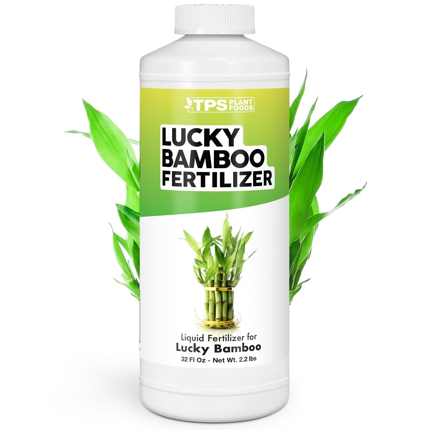 Lucky Bamboo Fertilizer – Liquid Plant Food for Greener Stalks Healthy New