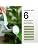 Fiddle Leaf Fig Fertilizer, Liquid Feed for Strong, Healthy Growth, 16oz | HiThr