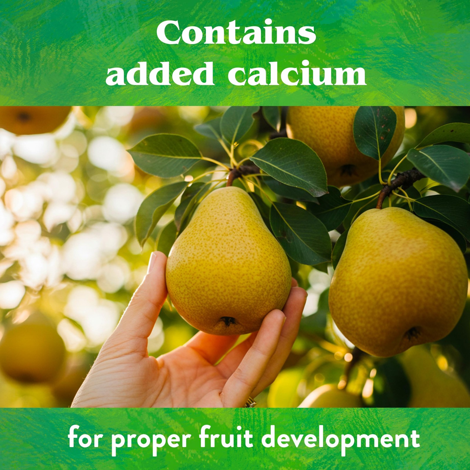 Organic Fruit Tree – Plant Food for Apples, Pears, Plums and Tropical Fruit T…