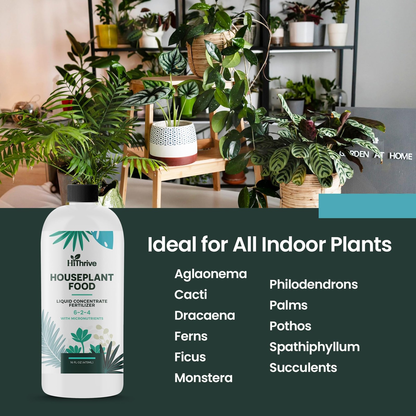 16oz Houseplant Fertilizer, All Purpose Indoor Plant Food – 16 oz (1 Pint)
