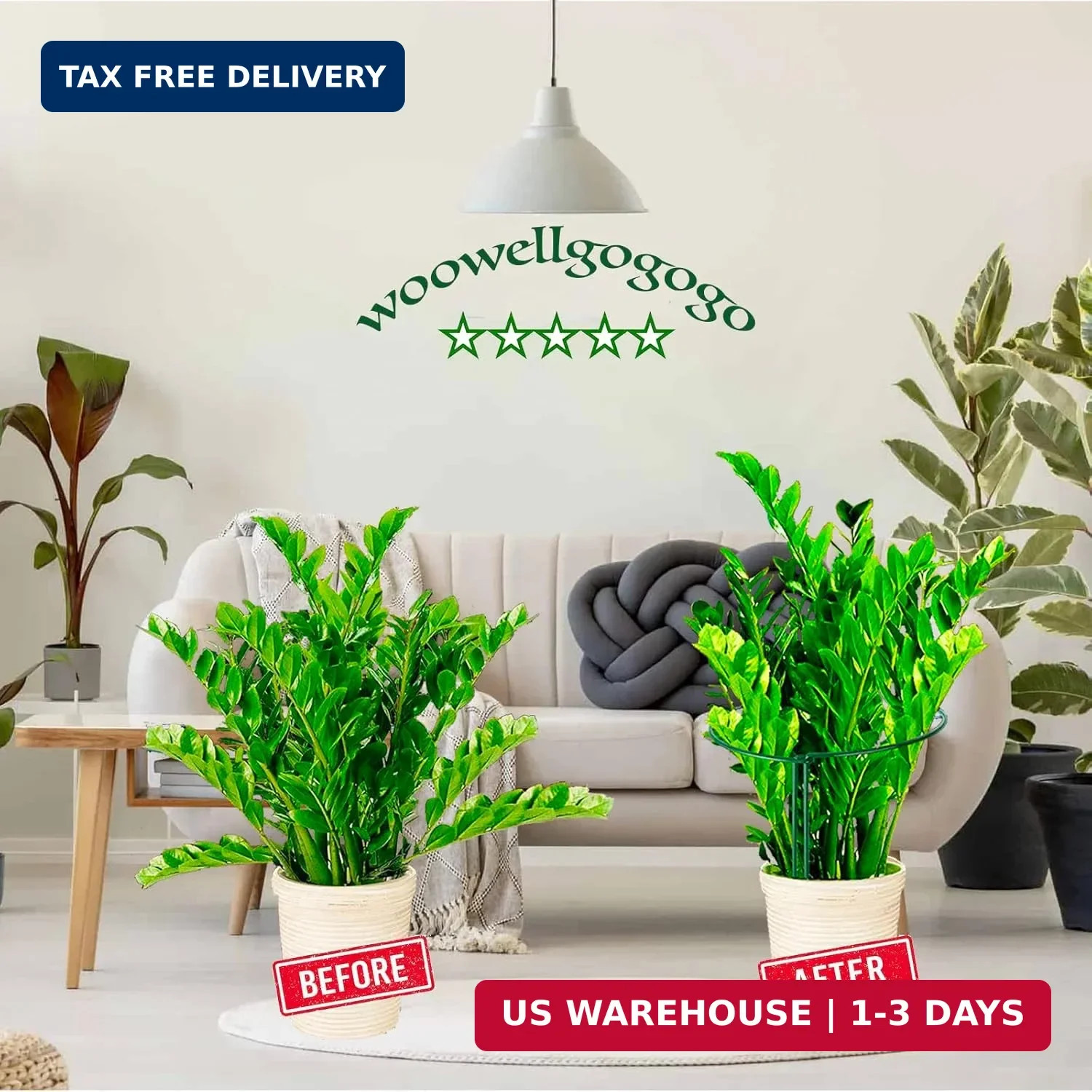 Half Round Snake Plant Support Stakes, Plant Ring for Peonies, Hydrangeas, ZZ, a