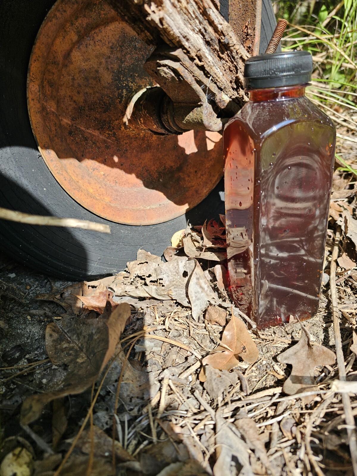 Two 16 oz. Bottles of Worm Leachate Concentrate RAW/UNFILTERED (1 Quart 32 oz.)