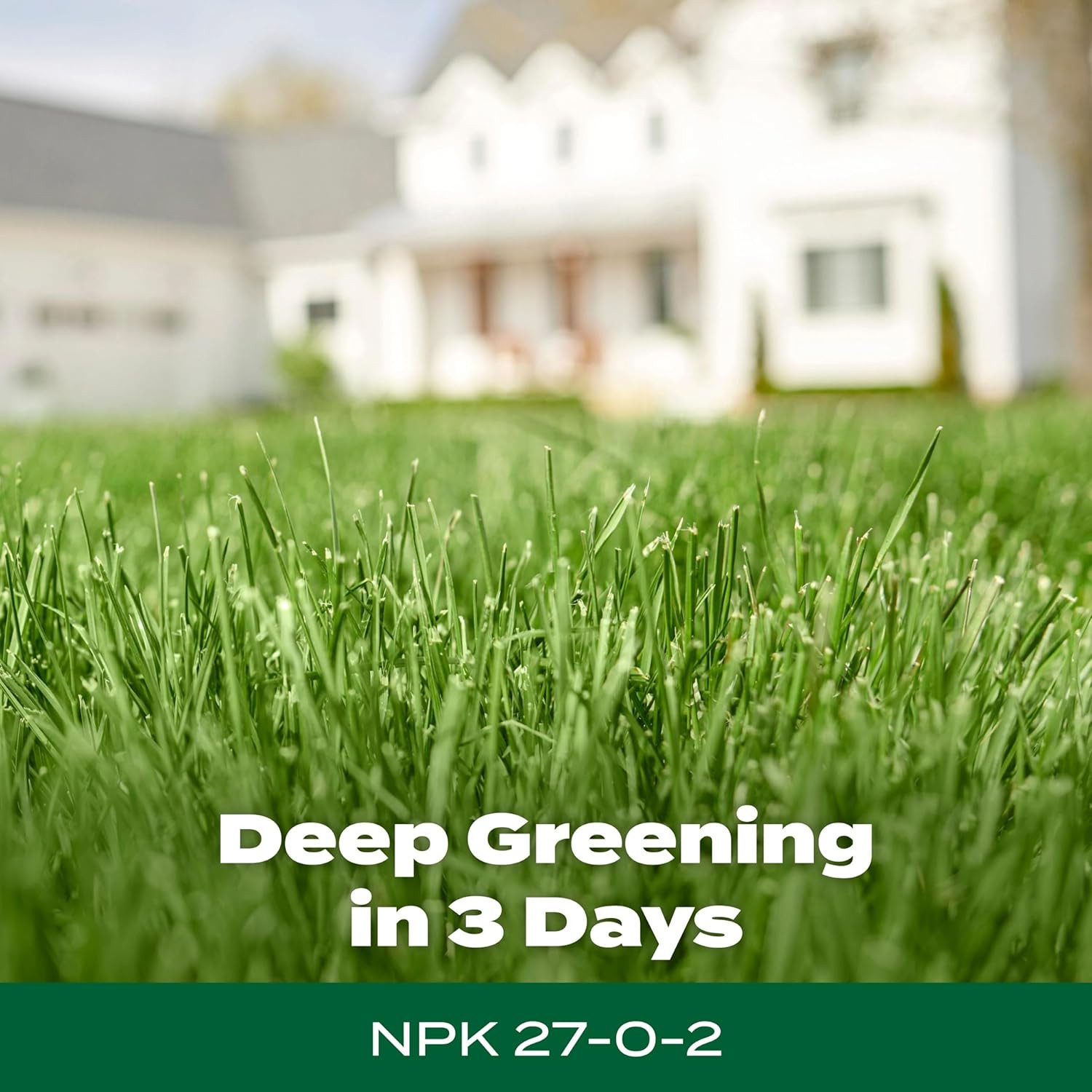 Green Max Lawn Food, Lawn Fertilizer plus Iron Supplement for Greener Grass, 5,