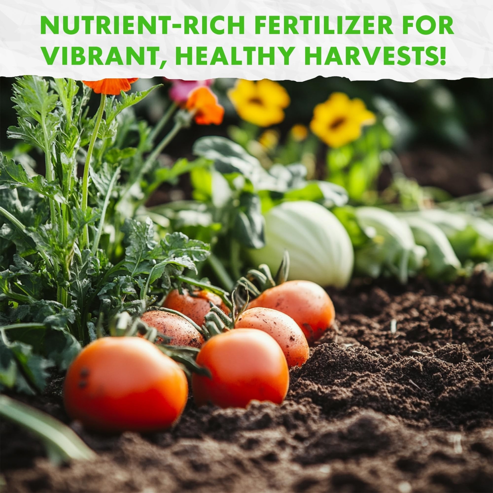 Fishnure Humus Compost Fish Fertilizer- 1 LB Convenience Pack – Odorless Orga…