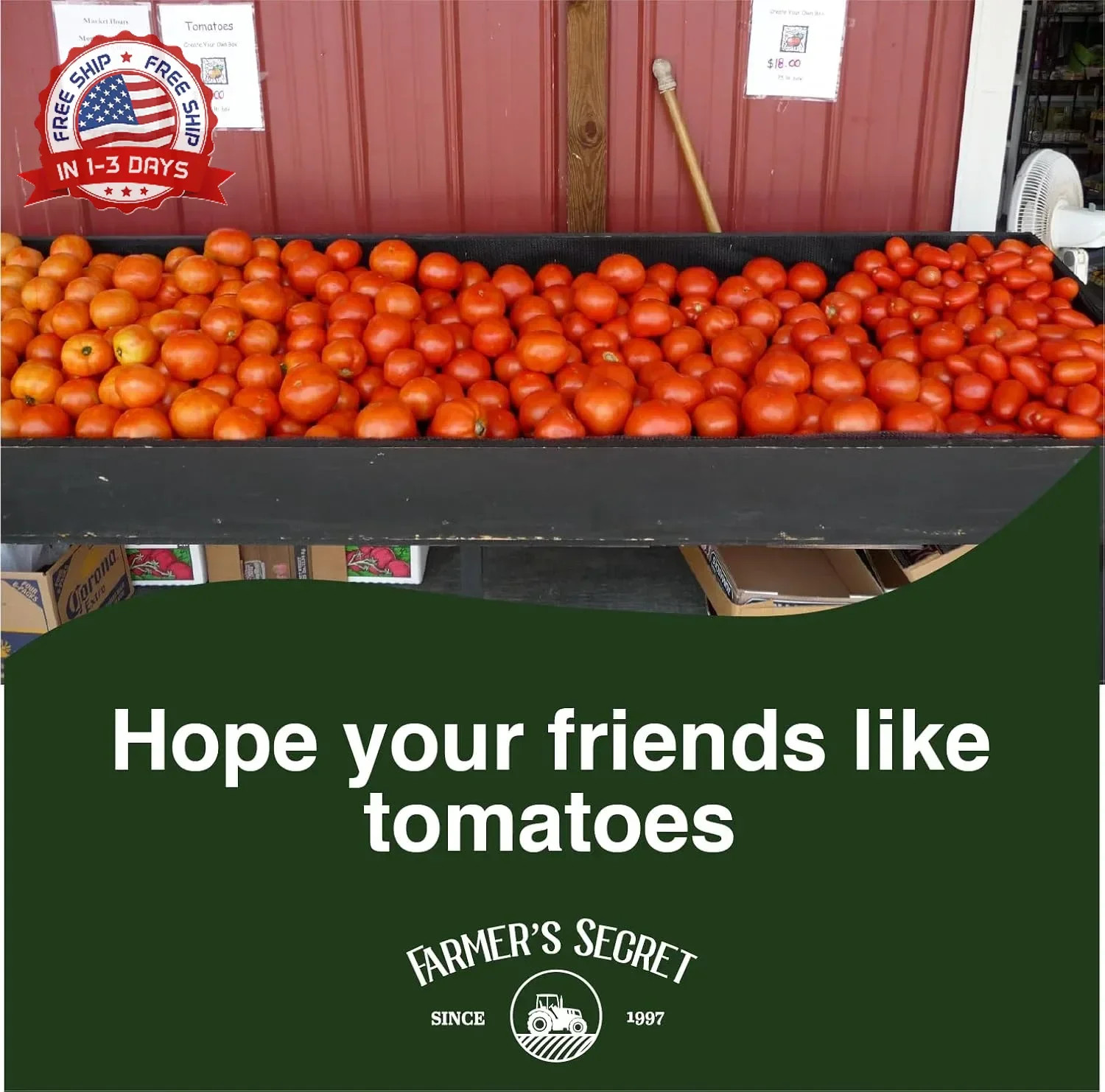 Tomato Booster Fertilizer – Super Concentrated – 3:8:7 Ratio For