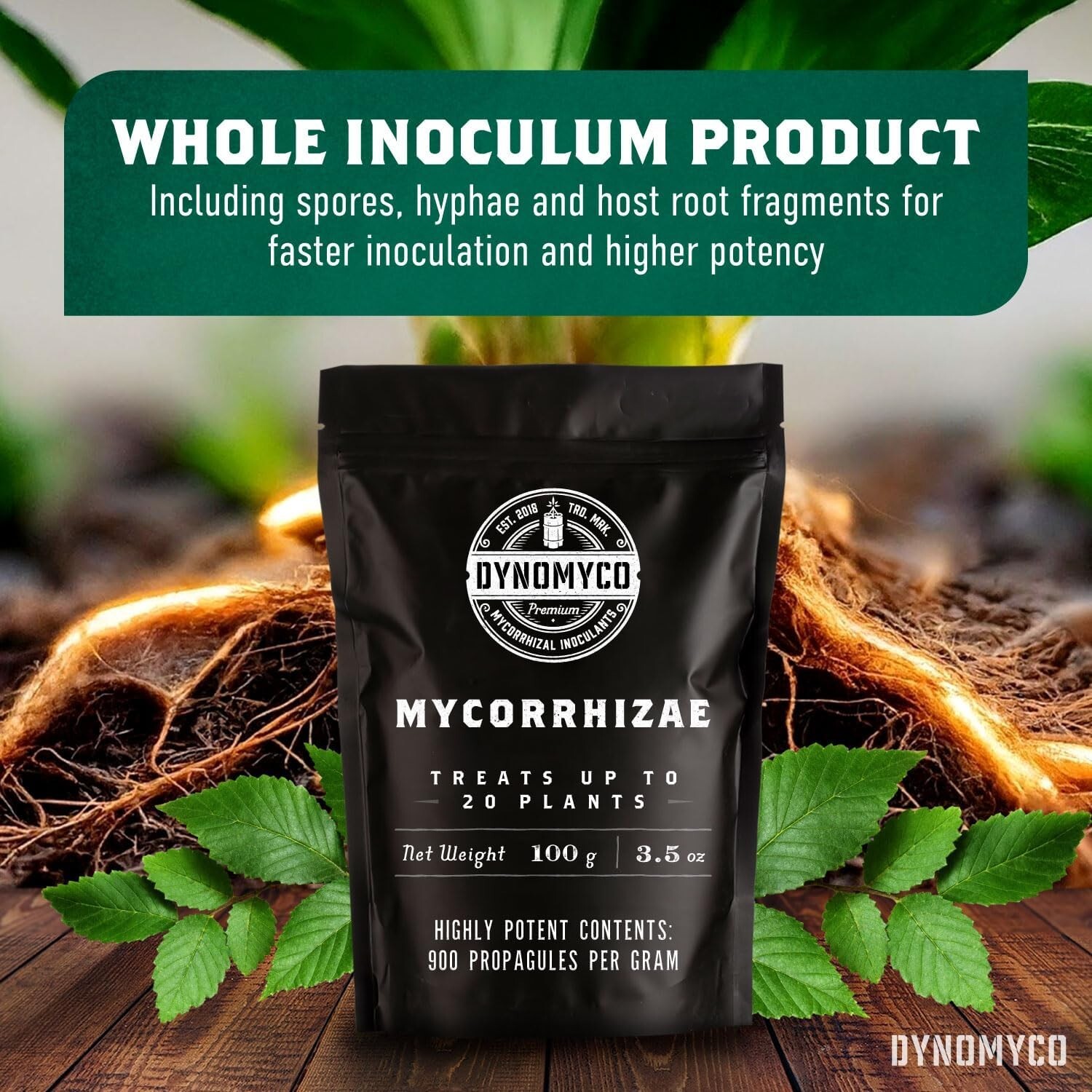 Mycorrhizal Inoculant – 100g Concentrate for Superior Nutrient Uptake & Yields