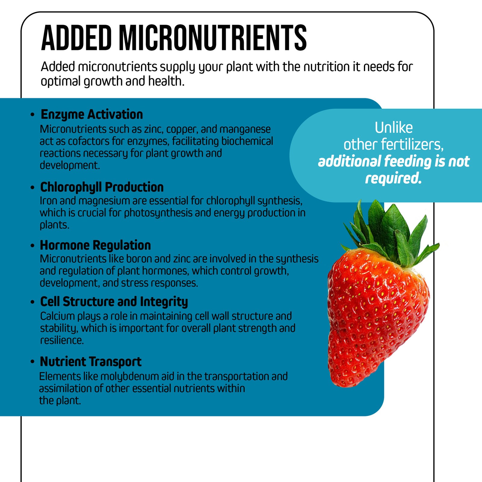 Jack’s Nutrients 8-10-26 Strawberry Part A Water-Soluble Fertilizer, 2.2lbs