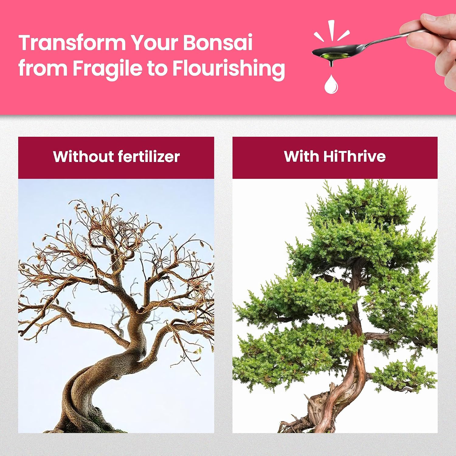 32Oz Bonsai Tree Live Liquid Plant Food – Makes 64 Gallons of Bonsai Fertilizer