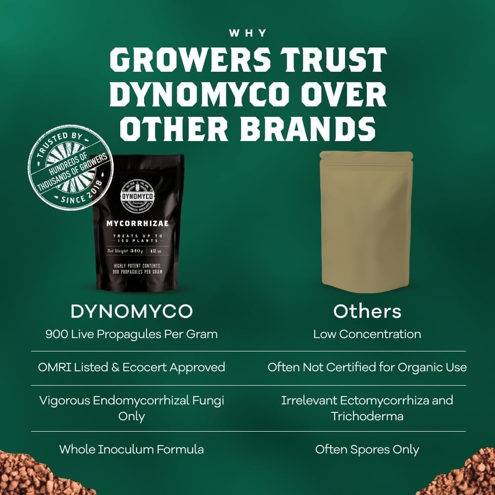 Concentrated Mycorrhizal Fungi Granules, 340g – Root Growth & Stress Protection