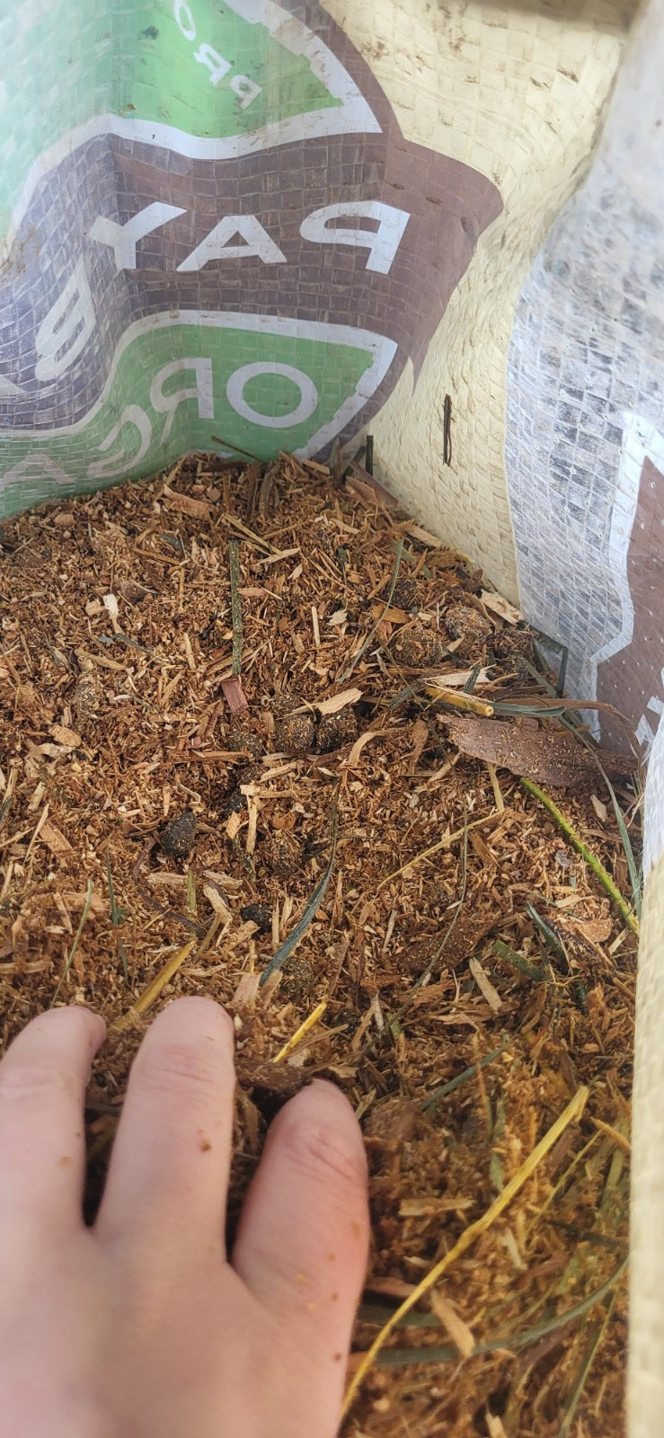 10+ LBS Rabbit Manure + Pine Shavings Organic Garden Fertilizer