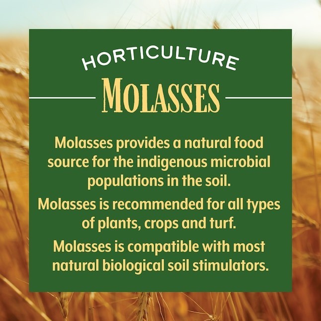 Medina Horticulture Molasses 1-Gallon 0-Gallon 0-Gallon Liquid All-purpose Food