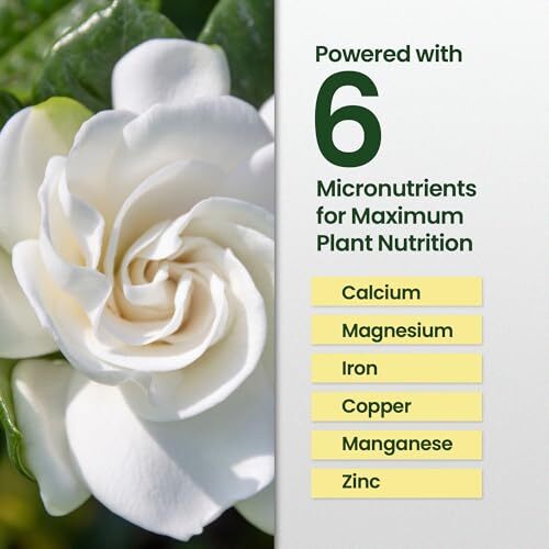 16oz Gardenia Fertilizer – Makes 96 Gallons of Indoor Plant Food, Nutrient-Rich