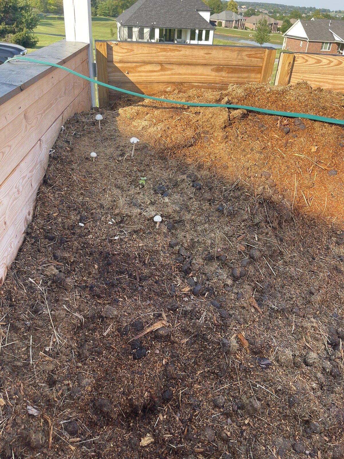 compost – horse manure/soft wood shavings – mature aged ready to use – tested