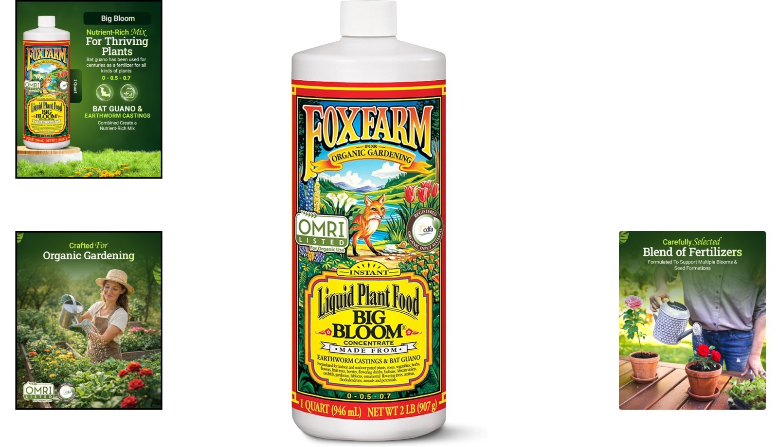 Big Bloom Liquid Plant Food by Fox Farm – Organic Blend for Full-Spectrum Growth