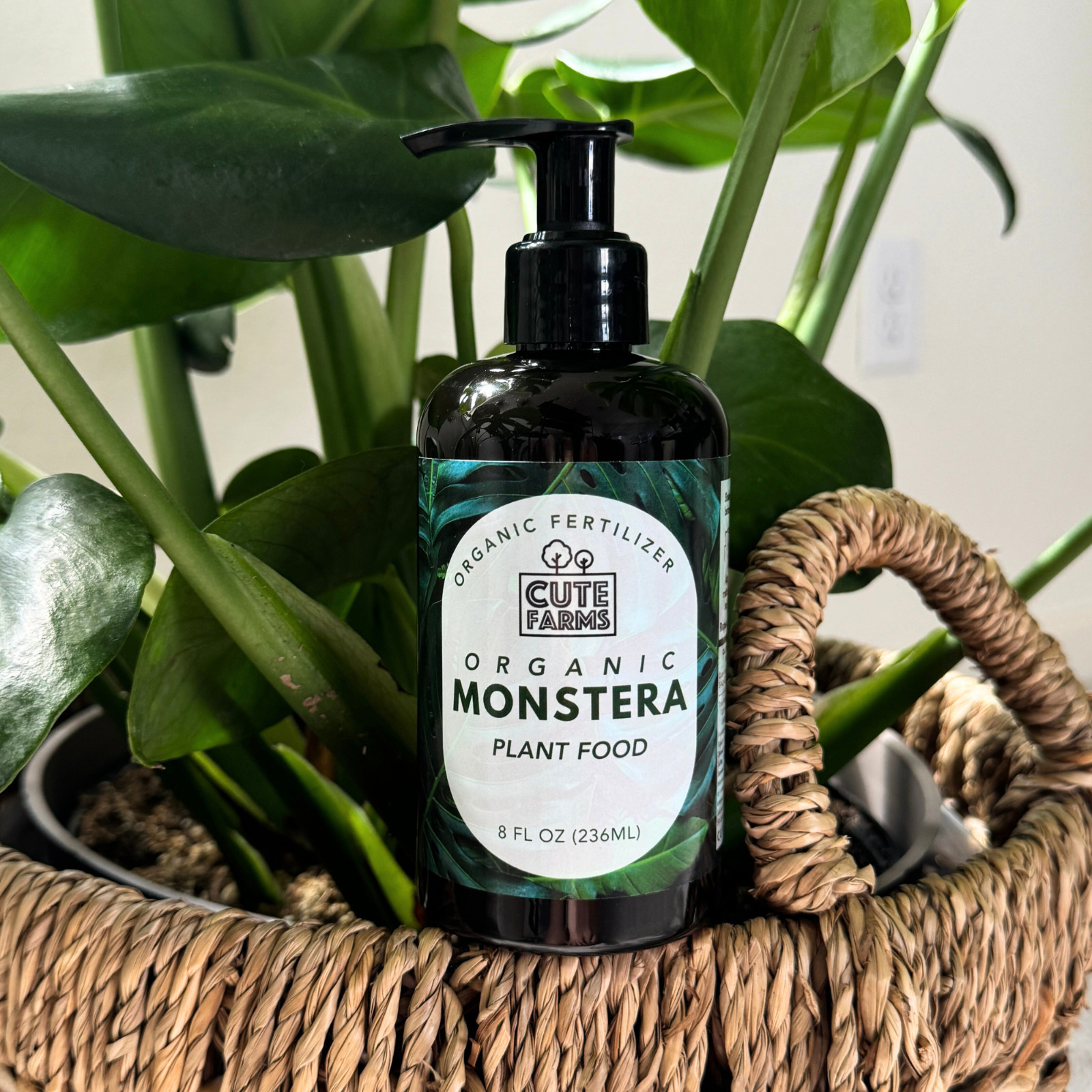 Organic Monstera Plant Food