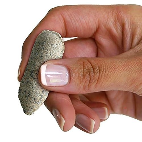 Bone Meal Fertilizer Spikes 50 Count Organic 2-14-0 NPK for Bulbs Tomatoes