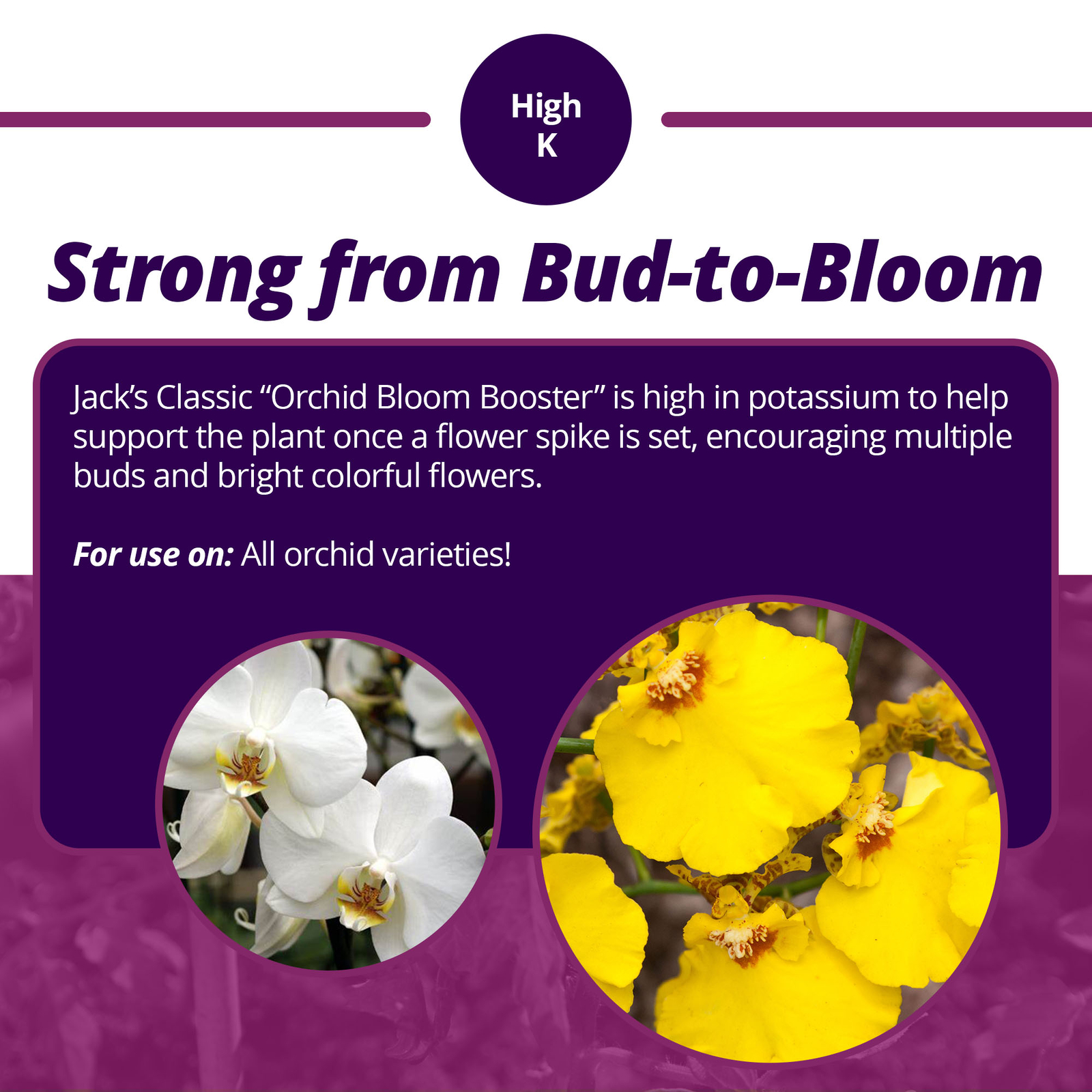 Jack’s Classic 3-9-6 Orchid Bloom Booster Fertilizer Concentrate, 8 fl. oz.