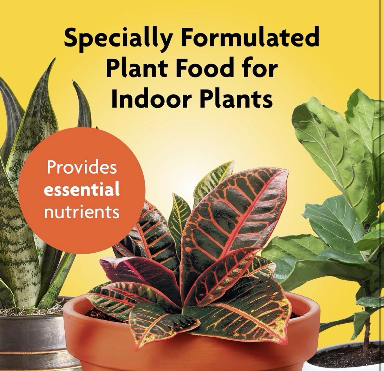 Miracle-Gro Indoor Plant Food, Liquid Plant Food for Houseplants, Snake Plant