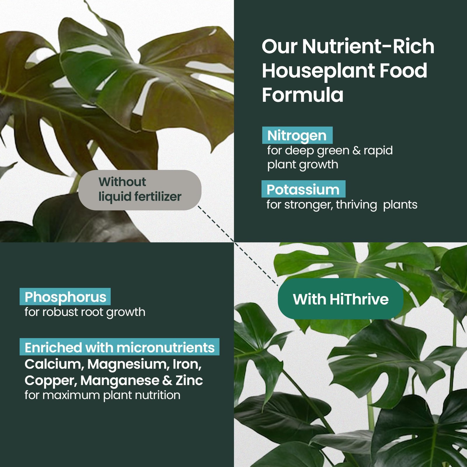 16oz Houseplant Fertilizer, All Purpose Indoor Plant Food – 16 oz (1 Pint)