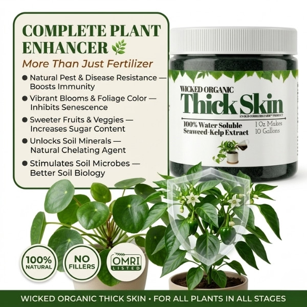 Old Cobblers Farm Wicked Organic Thick Skin Soluble Seaweed Extract Powder