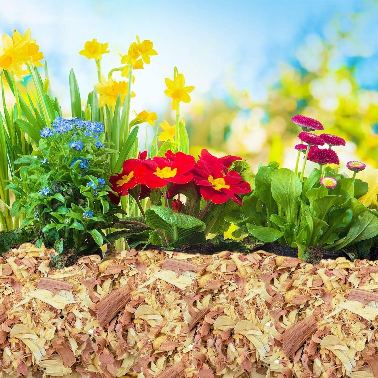 Hand Packed 8 Quart Cedar Shavings – Eco-Friendly Mulch for Indoor & Outdoor Use