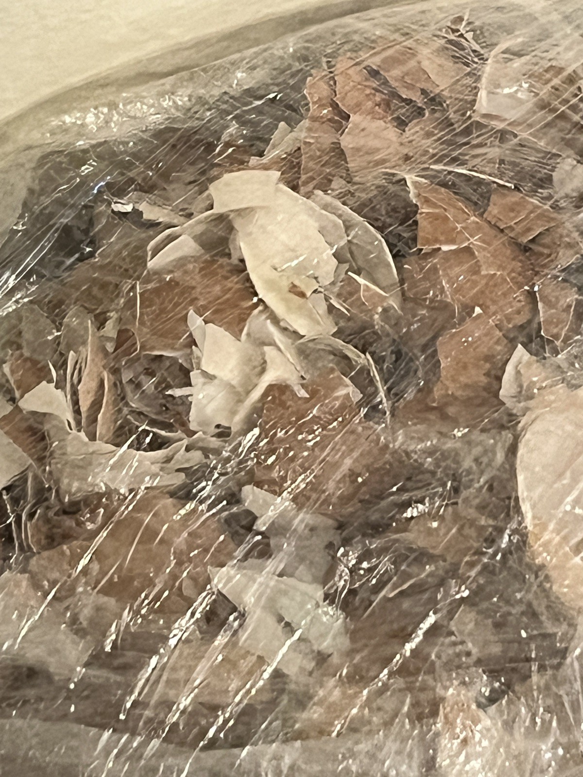 Crushed Egg Shells Over 5 Pounds