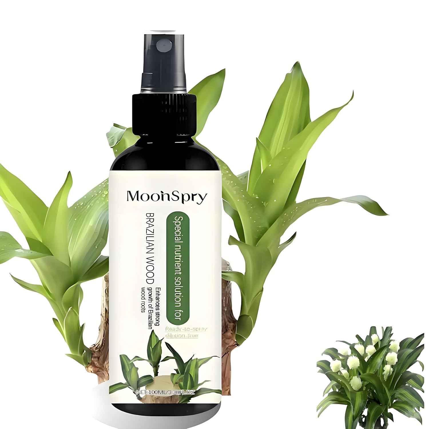Moonspry Brazilian Lucky Wood Plant Food, Lucky Bamboo Liquid Fertilizer，Braz…