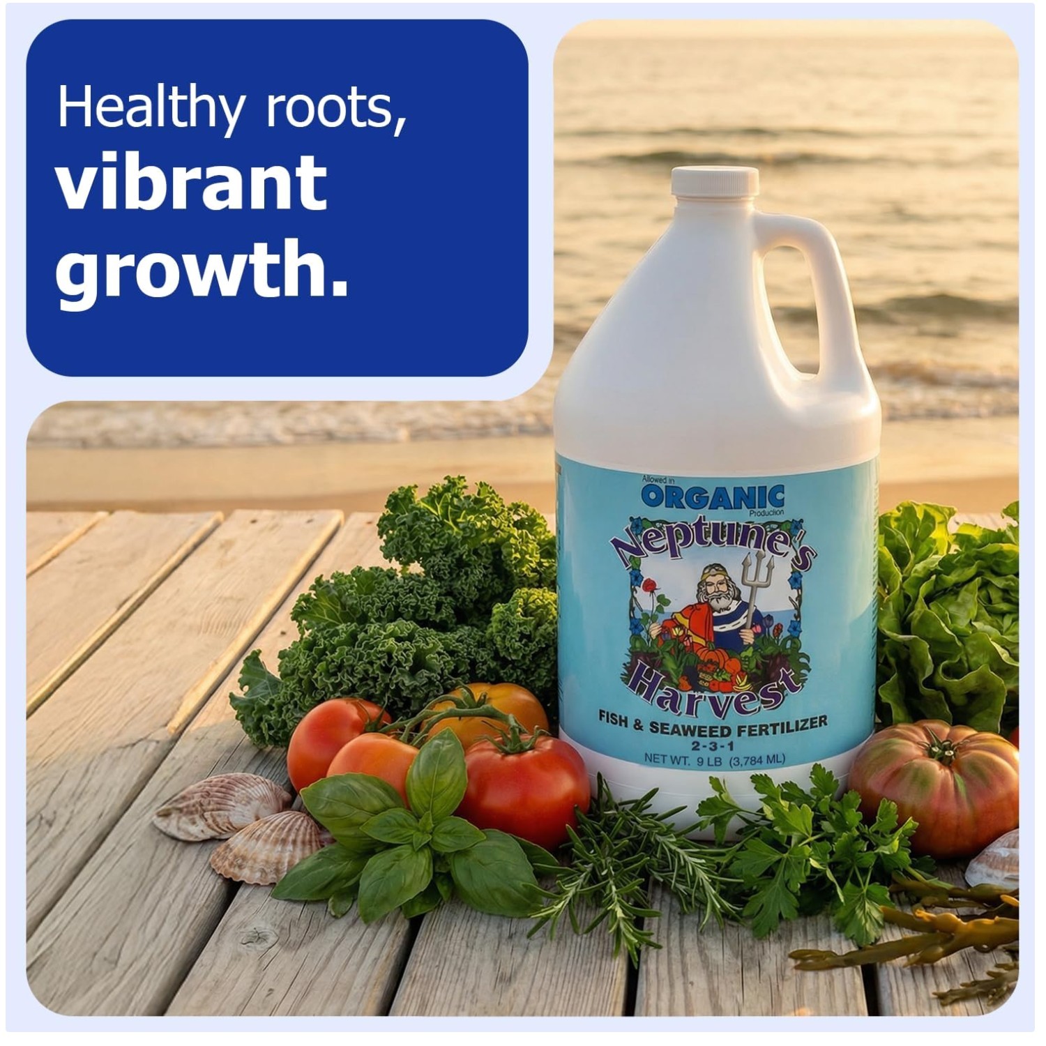 Liquid Fertilizer for Vegetables & Flowers – 1 Gallon