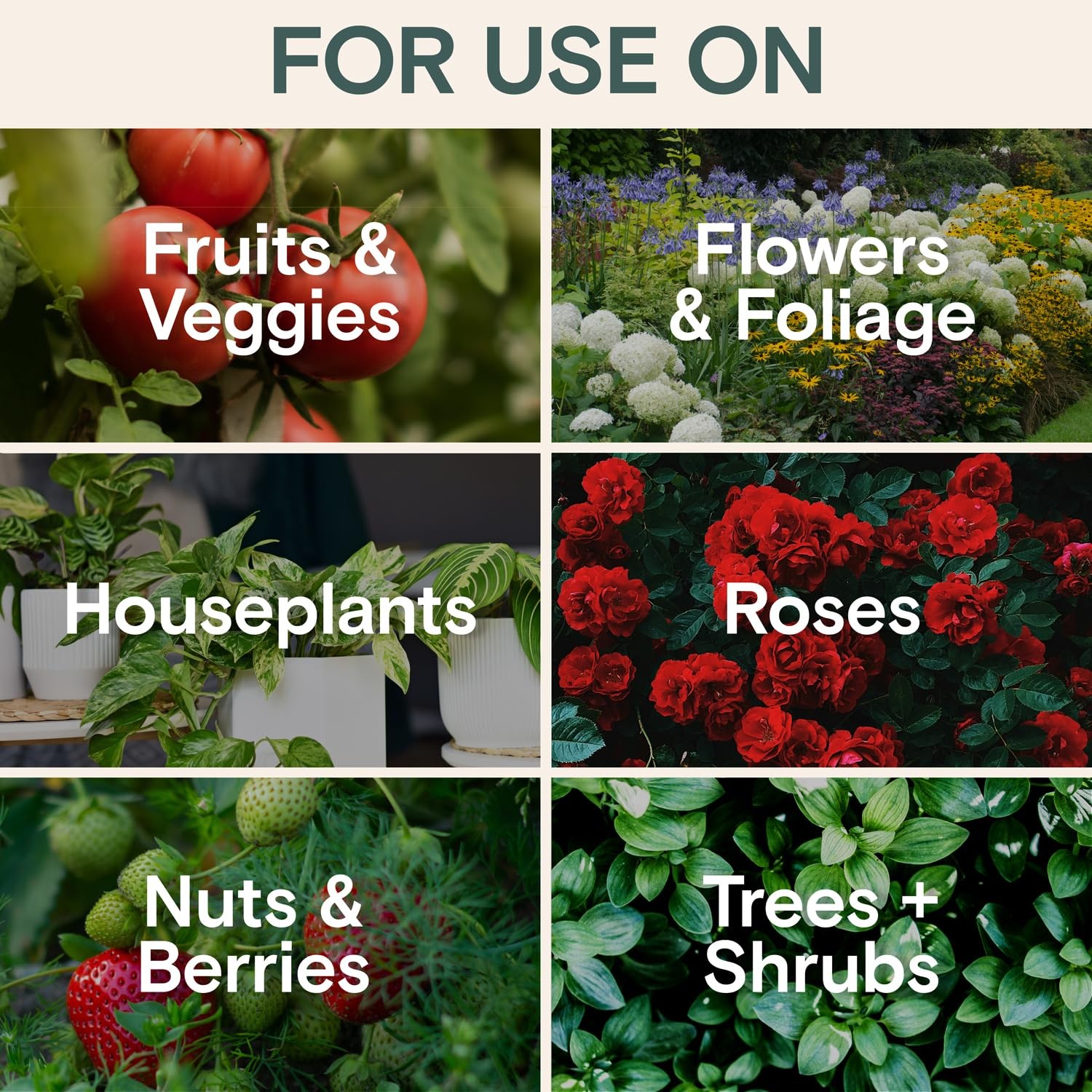 Organic Liquid Plant Food & Fertilizer – Nutrition & Health Set