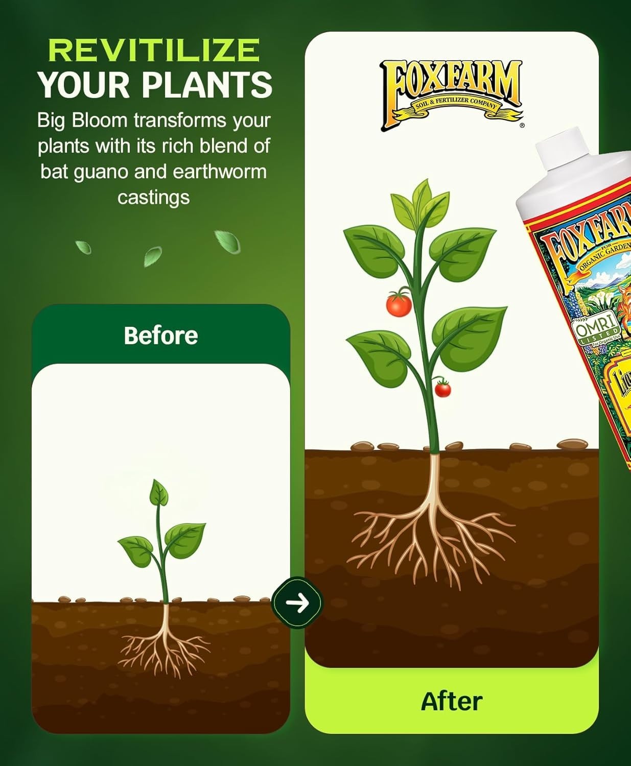 All-Purpose Liquid Fertilizer – Big Bloom Plant Food for Vibrant Growth, 1 Quart