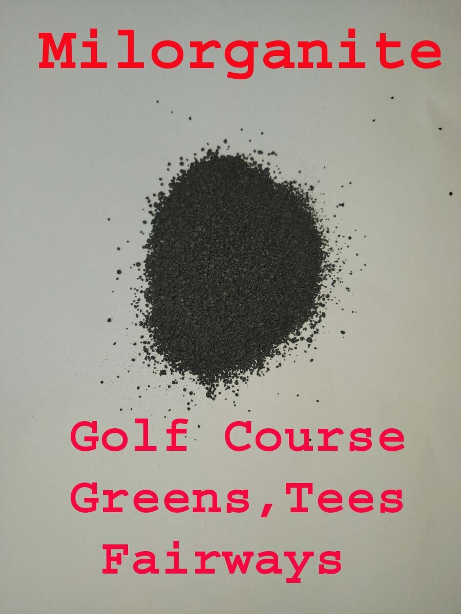 6-4-0 Fertilizer – Milorganite Slow Release All-Purpose with Iron green grass!