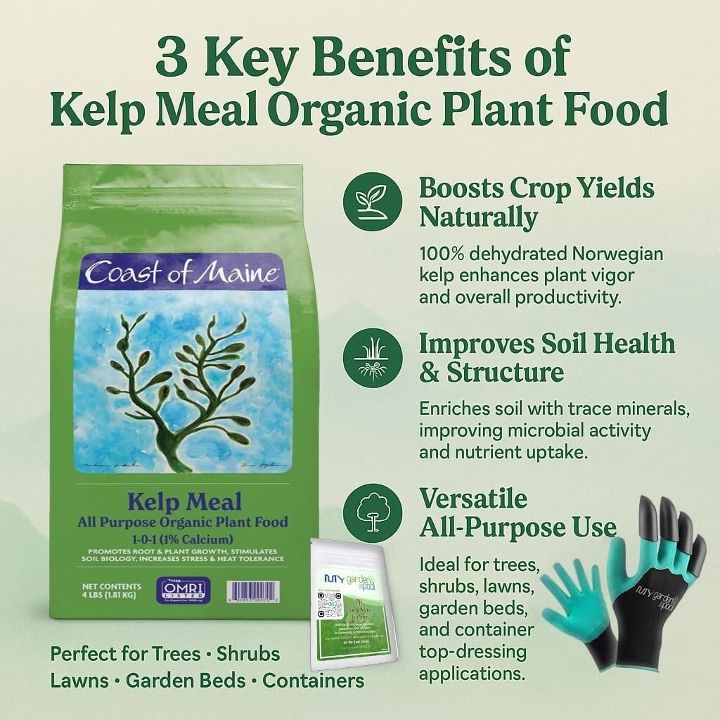Coast of Maine KM6000 Kelp Meal Plant Food 4 LB – Organic Seaweed Fertilizer…