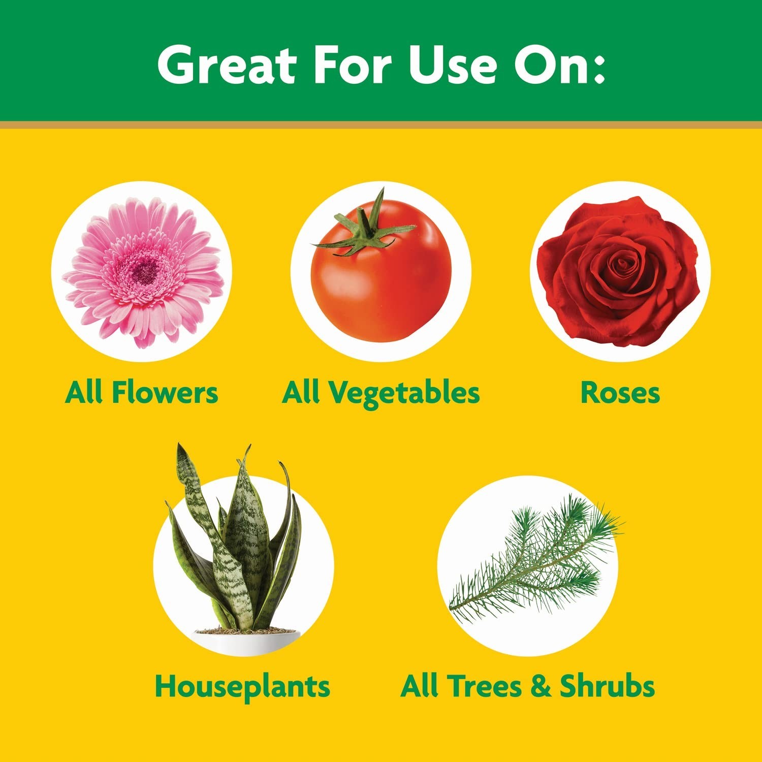 Miracle-Gro Water Soluble All Purpose Plant Food Fertilizer for Indoor or Out…