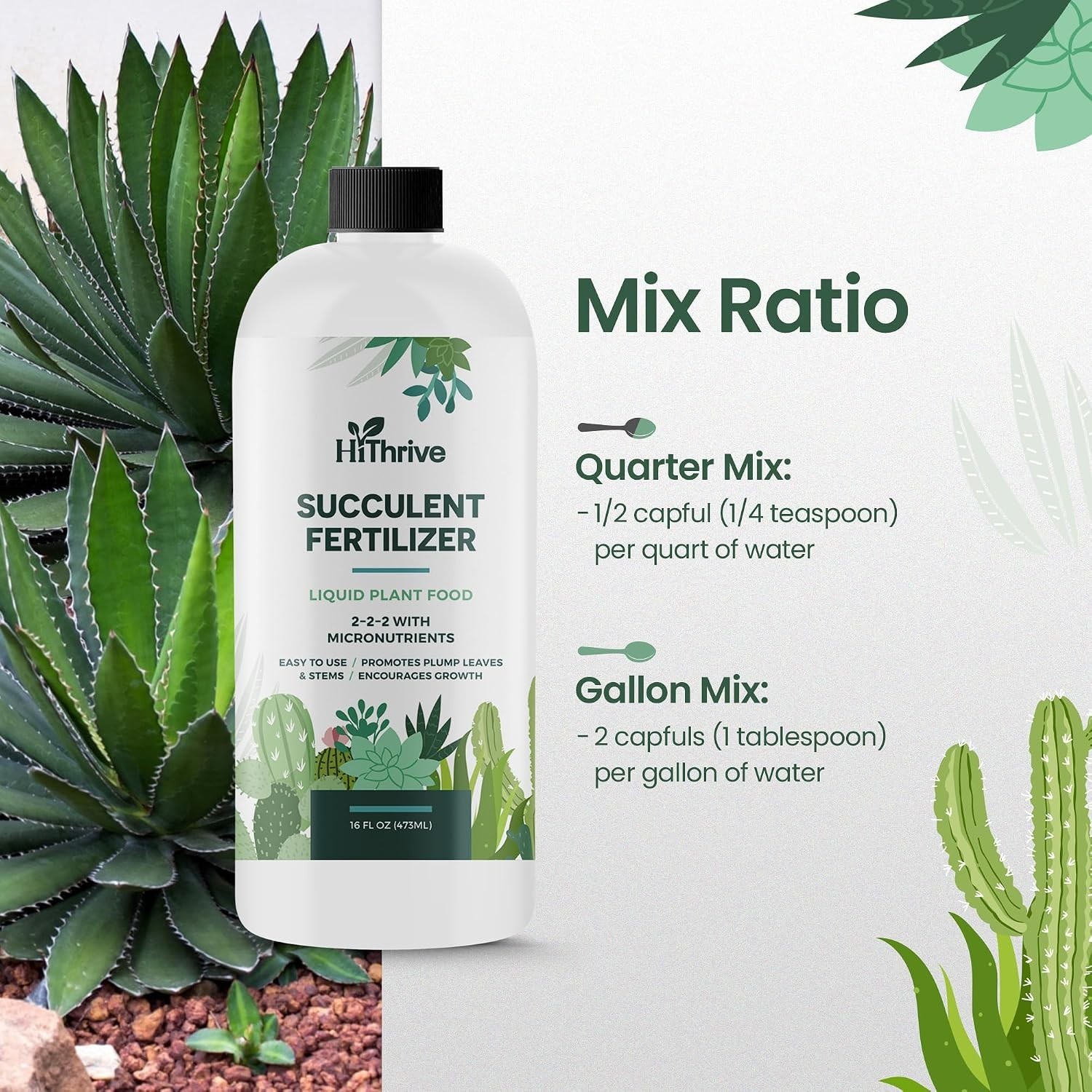 Succulent Fertilizer for Vibrant Leaves, Strong Roots & Plump Growth, 16oz | …