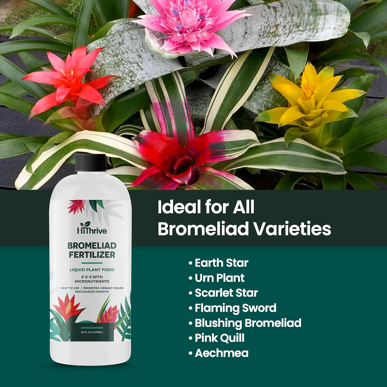 16Oz Bromeliad Fertilizer – Makes 24 Gallons of Liquid Bromeliad Plant Fertilize