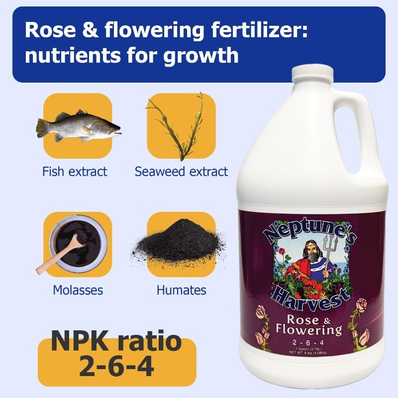 Rose Flowering Fertilizer (2-6-4) 1Gallon – Organic Liquid Rose Food forVibrant
