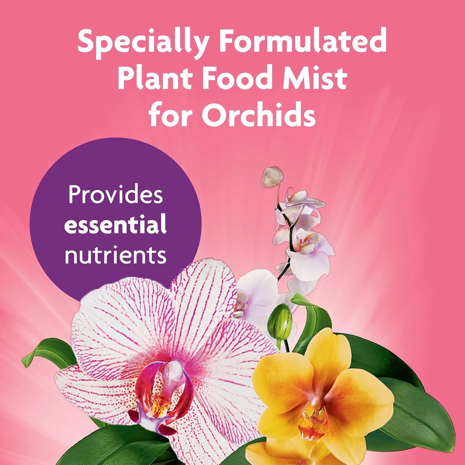 Brand New Ready to Use Orchid Plant Food Mist 3-Pack – Indoor Orchid Care