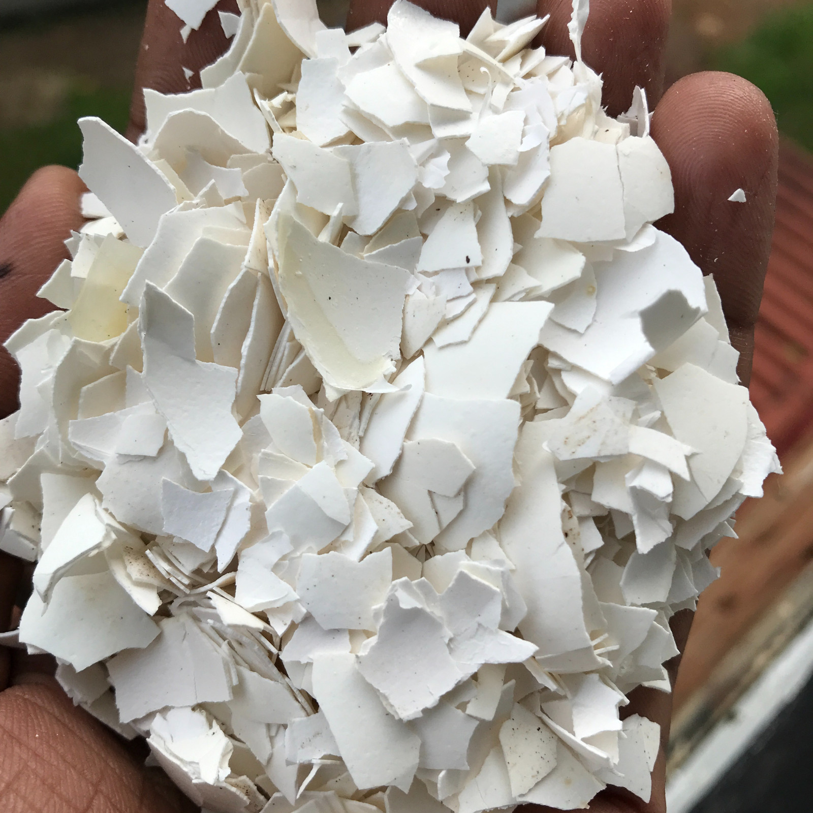 Organic Ceylon Crushed Egg Shell Home Made Calcium Fertilizer Free Shipping