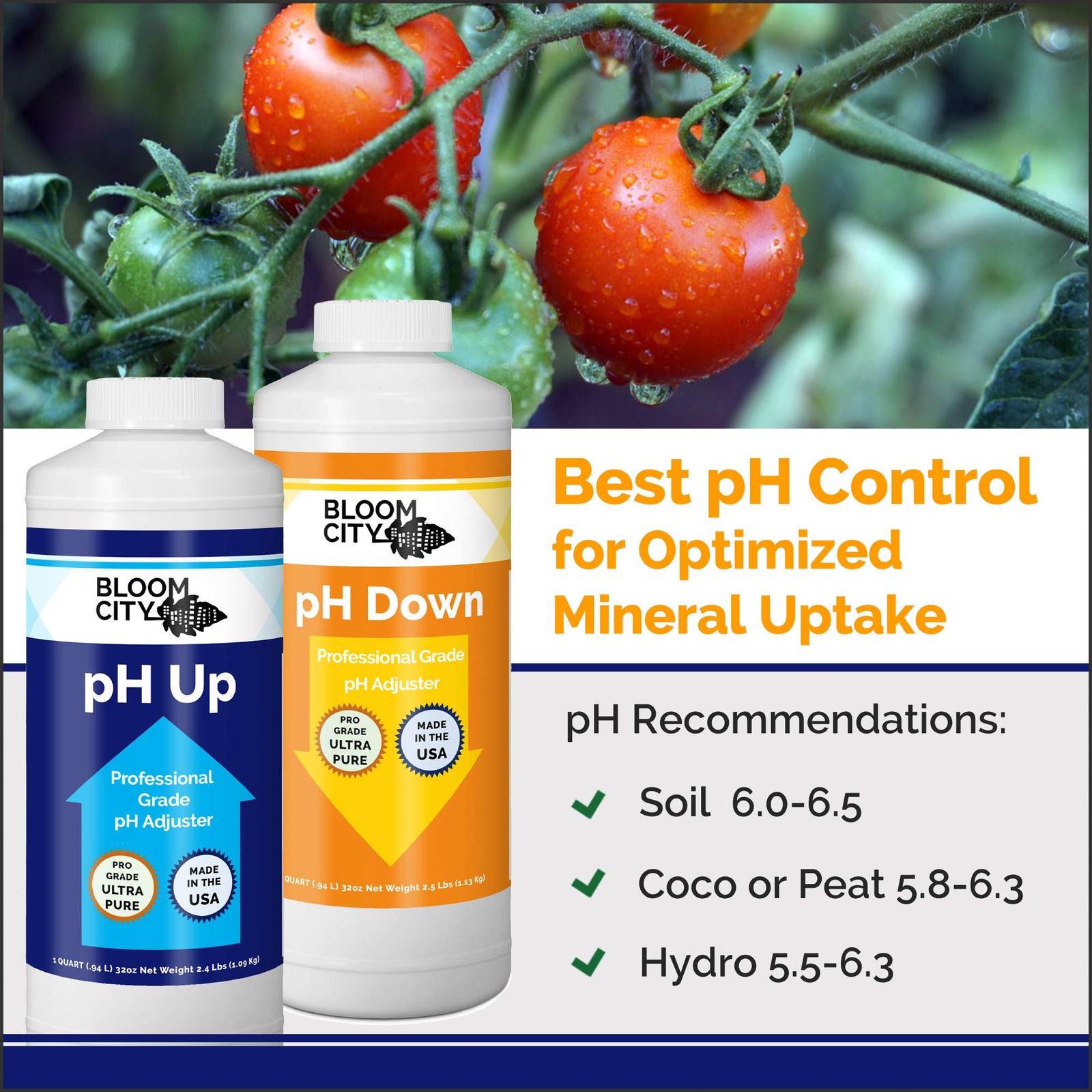 pH Control Kit for Nutrient Uptake Two 1/2 Pint Bottles 16 oz Total