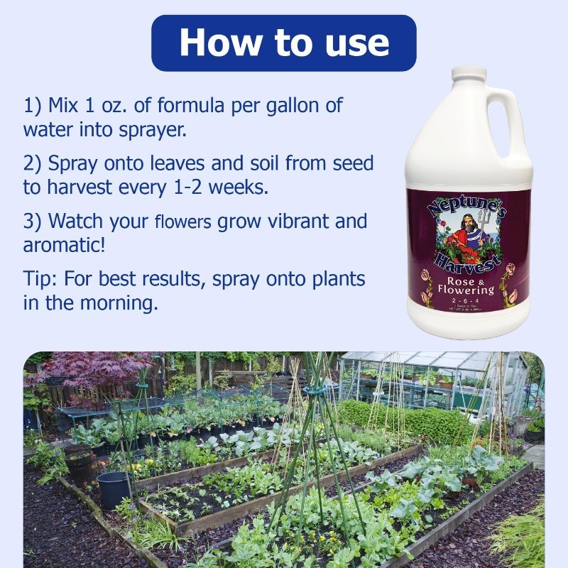 Rose Flowering Fertilizer (2-6-4) 1Gallon – Organic Liquid Rose Food forVibrant