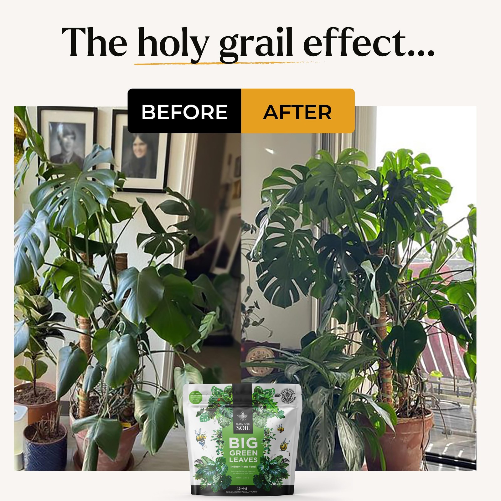 Big Green Leaves Indoor Plant Food – 4X Concentrated Houseplant Fertilizer wi…