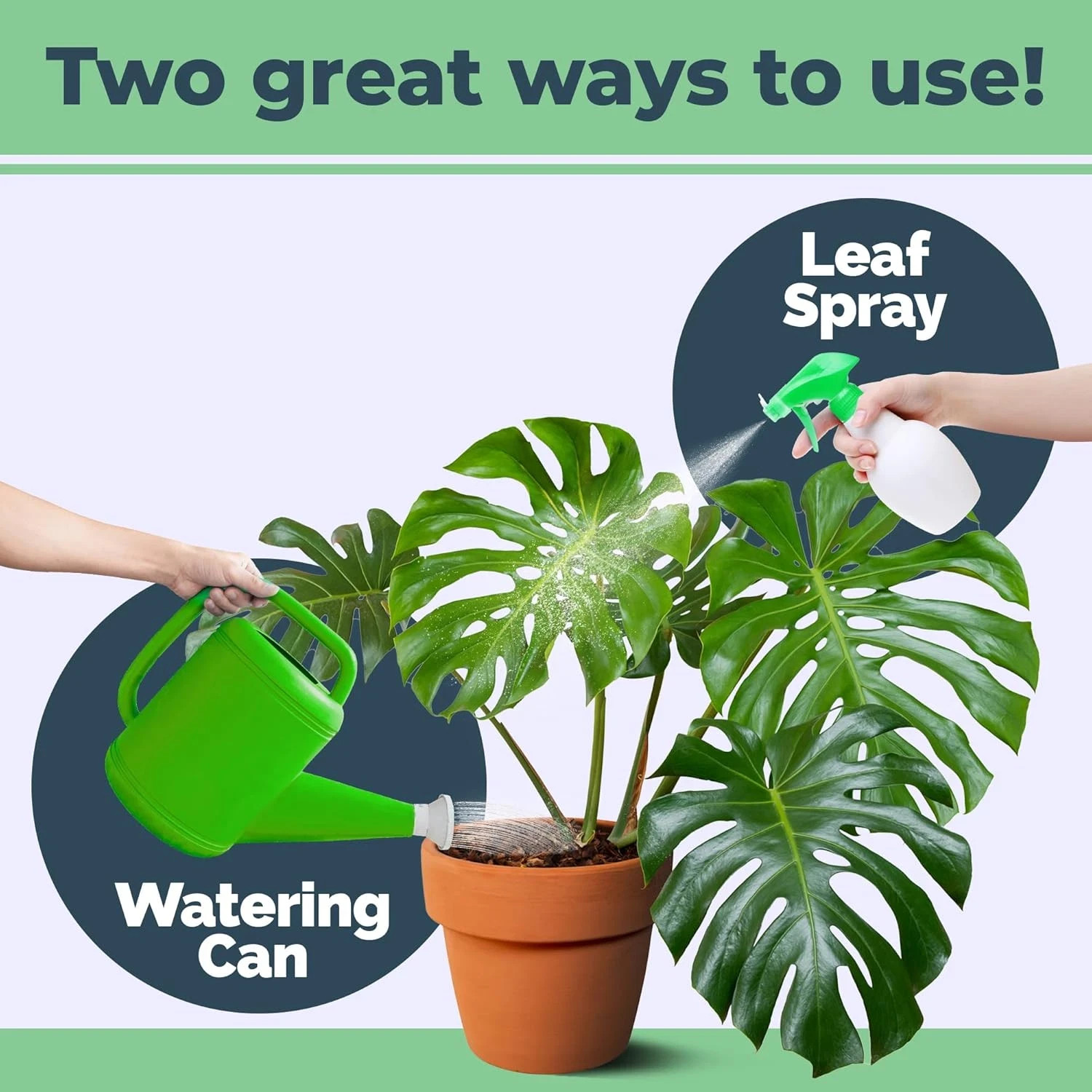 Monstera Plant Food for Monsteras and Philodendrons, Tropical Houseplant FOOD